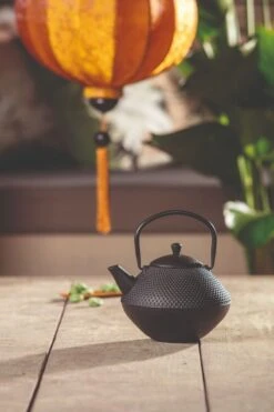 Bredemeijer Xinjang Theepot 1 Liter Gietijzer Zwart 7 Bredemeijer Xinjang Theepot 1 Liter Gietijzer Zwart -Koffie- en theewinkel bredemeijer xinjang theepot 1 liter gietijzer zwart 3